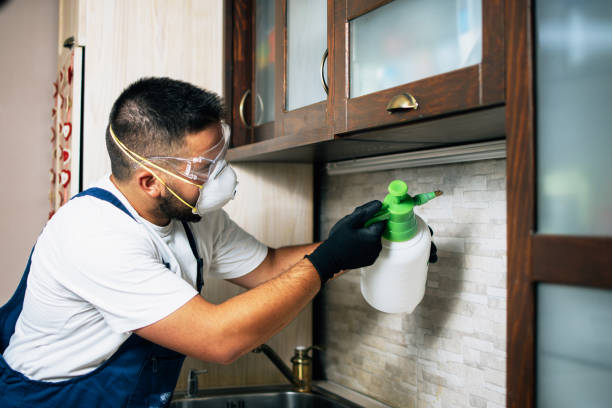 Best Best Pest Control Companies  in Terra Bella, CA